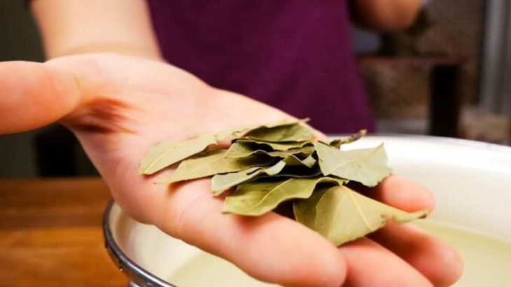 Skvrny z prádla zmizí bleskově, s čištěním pomůže bobkový list