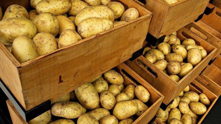 Desítky kilogramů brambor: Úroda bude boží, stačí je hnojit popelem