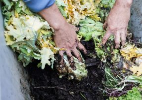 Ještě donedávna byl hnůj při péči o zahradu jasným favoritem. Dnes ho však nahrazuje japonská metoda, kterou zvládne každý.