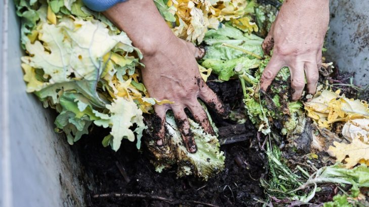 Ještě donedávna byl hnůj při péči o zahradu jasným favoritem. Dnes ho však nahrazuje japonská metoda, kterou zvládne každý.