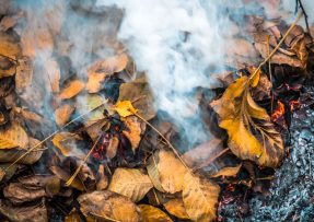 Za blbost se platí: Pálení listů na podzim je chyba, hrozí za to pokuta