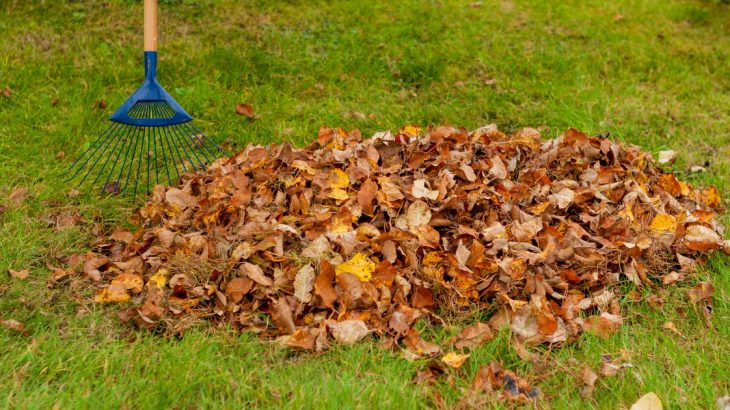 Hrabání listí má své výhody i nevýhody: Jde o mulč zdarma, většina ho ale pálí nebo vyhazuje