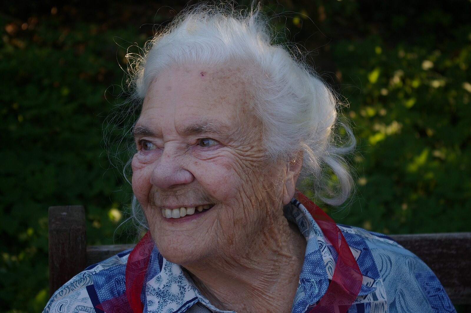 Kvíz: Jak dobře znáte tradiční rady našich babiček pro chalupu a zahradu? Uvidíte, které z nich vám zůstaly v hlavě