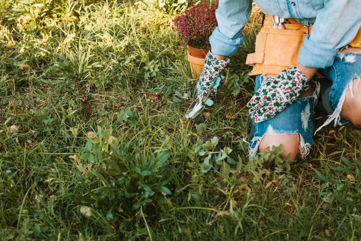 Péče o trávník po zimě rozdělí zahrádkáře na dvě skupiny. Patříte k těm 2 z 10, co to dělají správně?