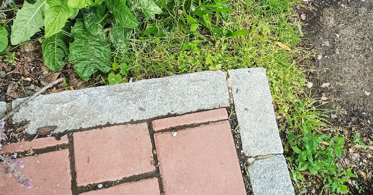 Beton na zahradě se podle stavebního zákona počítá do zastavěné plochy. Bez povolení hrozí pokuta až 200 tisíc Kč