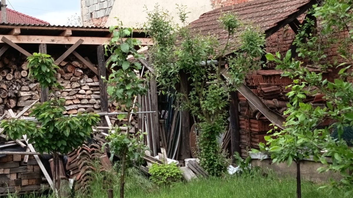 Mléčné zbytky nejsou vyváženým hnojivem pro zeleninu ani ovocné stromy