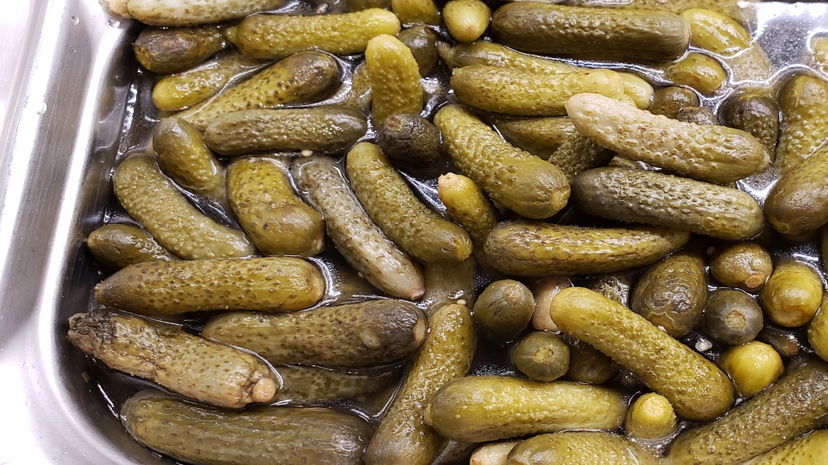 Pevnost okurek ovlivňuje čerstvost plodů, složení nálevu a doba zpracování