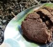 Kávovou sedlinu je před aplikací na zahradu nejlepší „prohnat“ kompostem