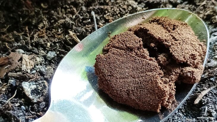 Kávovou sedlinu je před aplikací na zahradu nejlepší „prohnat“ kompostem