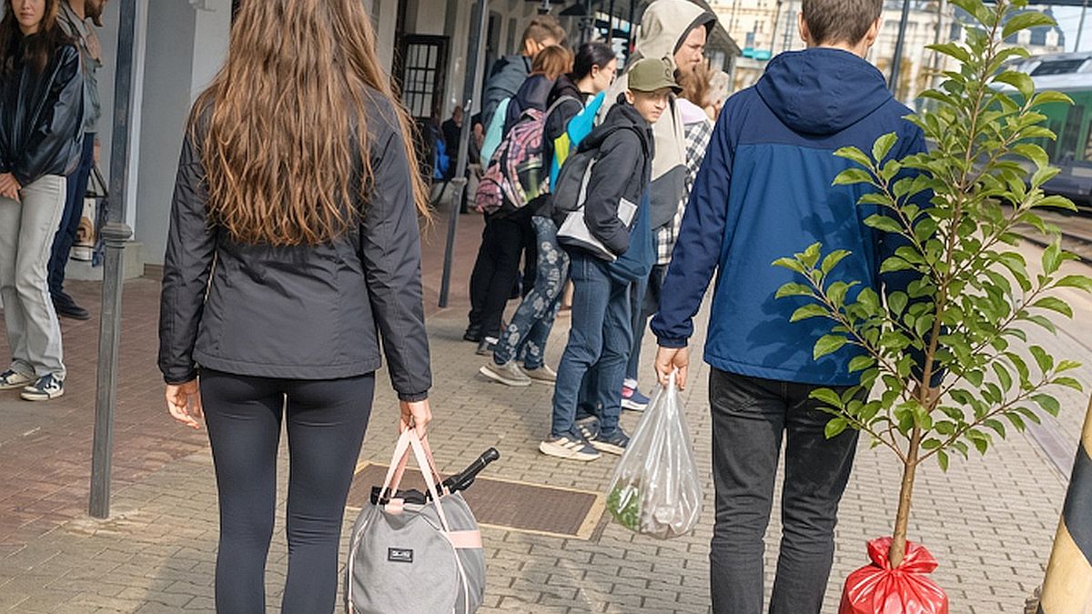 Kdo kupuje ovocné stromy v české zahradnické školce, platí zbytečně dvojnásobek. Němečtí pěstitelé posílají sazenice i k nám